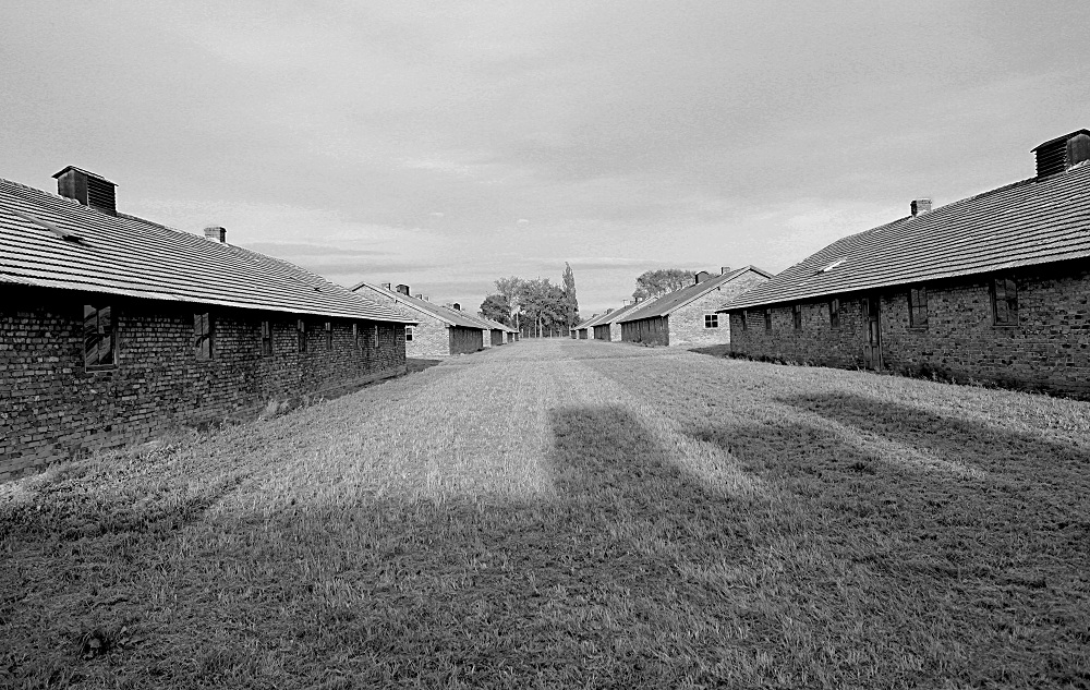 AUSCHWITZ - BIRKENAU