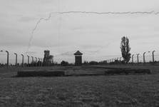 AUSCHWITZ - BIRKENAU