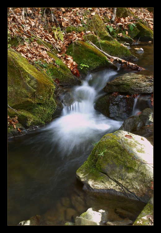 Waterfall