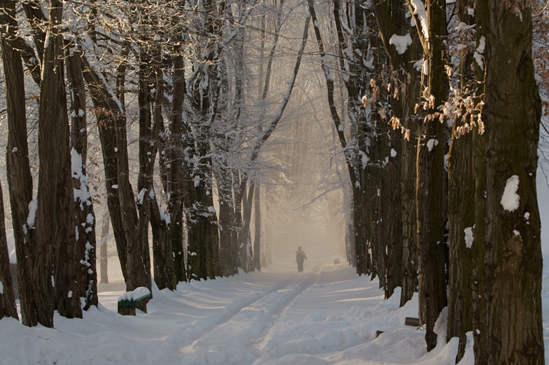 Park w Wiśniowej