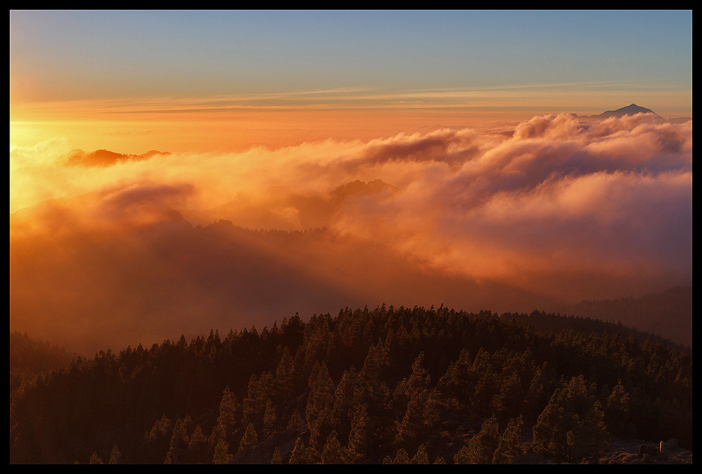 Pico de las Nieves