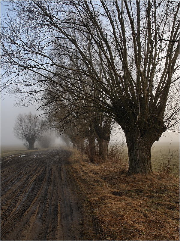 Przedwiośnie