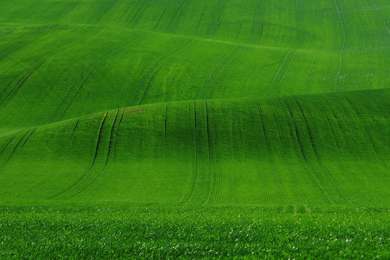 jihomoravsky kraj