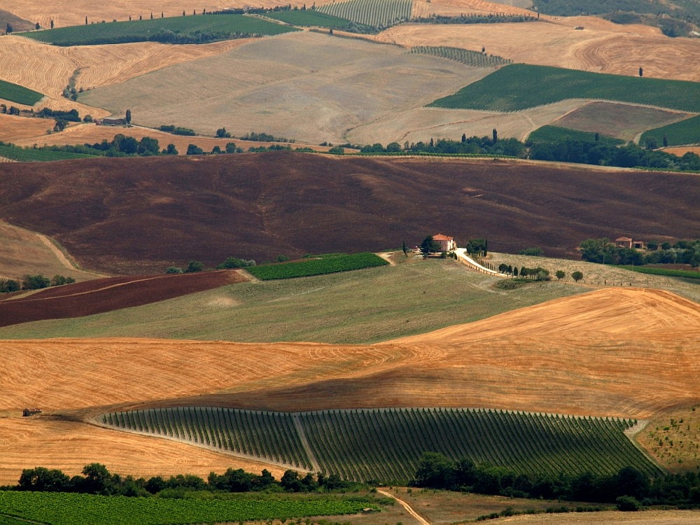 Toskańskie obrazki (CCXVI)