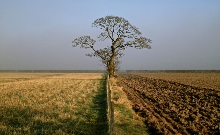 in the mornig, Stirlingshire