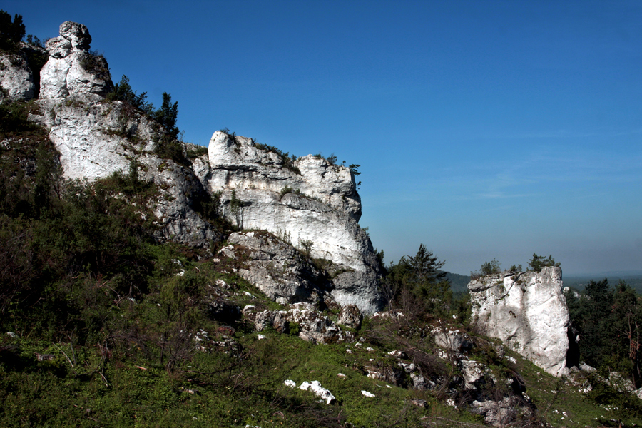 Góra Zborów