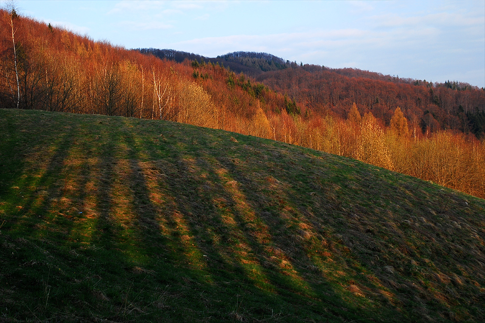 PrzeŚwity o Zachodzie