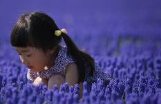 Japanese girl in blue