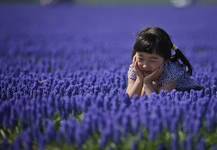 Japanese girl in blue #2