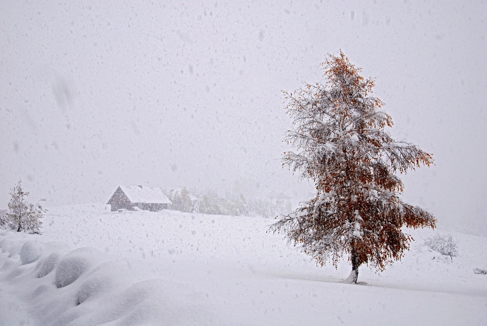 Bieszczady