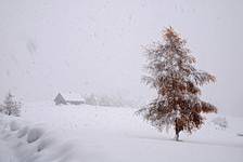 Bieszczady