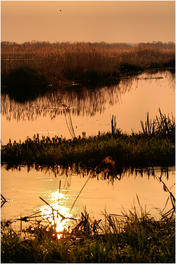 moje Podlasie (1)