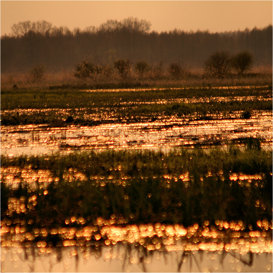 moje Podlasie (7)