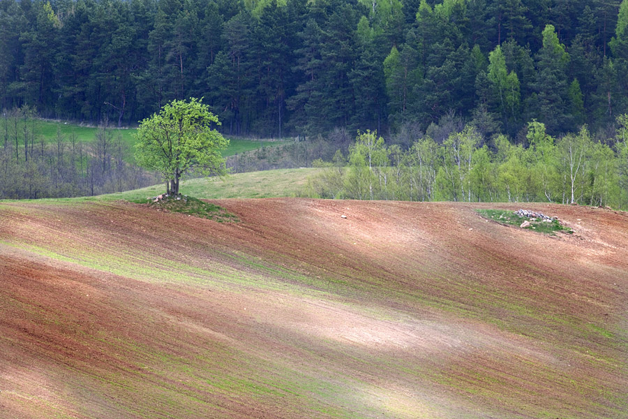 Suwalski Park Krajobrazowy