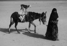 Bedouins life ...