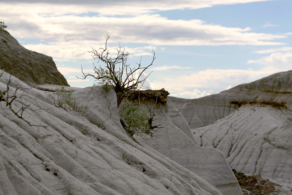 Dinosaur Provincial Park