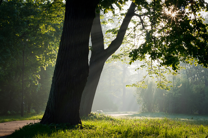 Park majowy