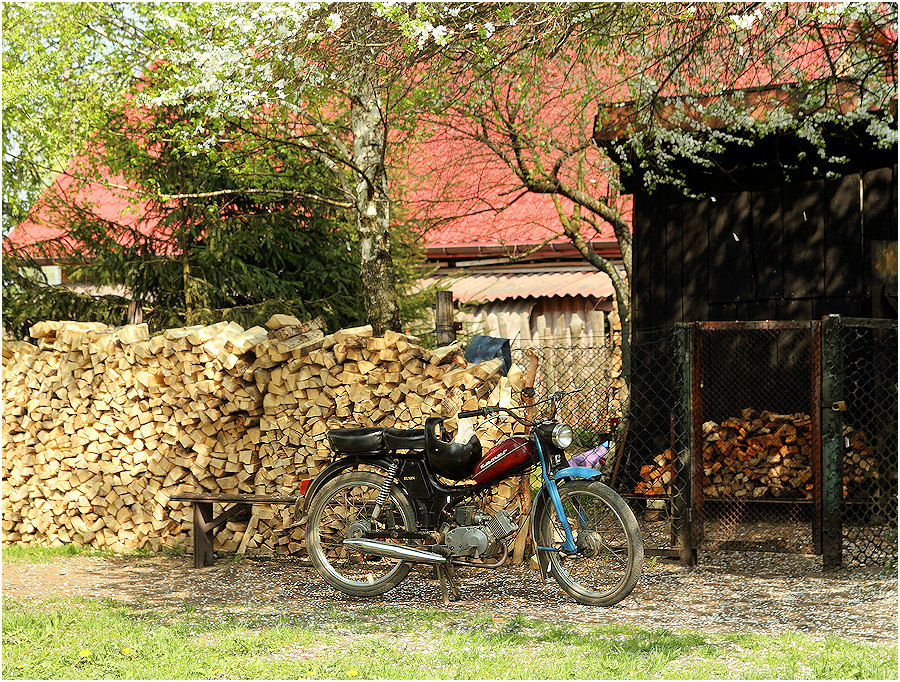 moje Podlasie (10)