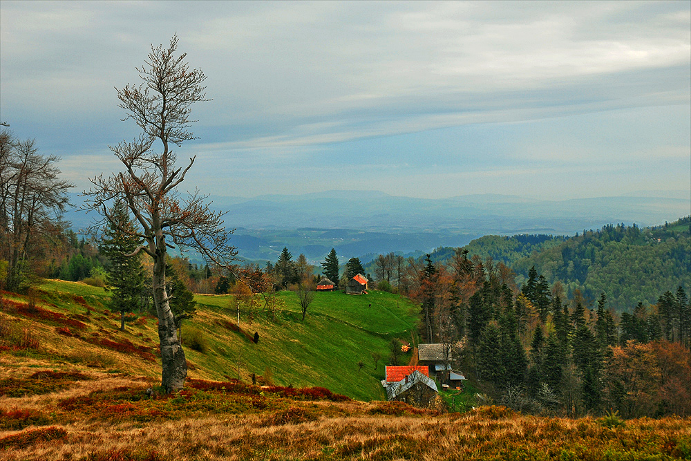 Mieszkać w górach... [5]