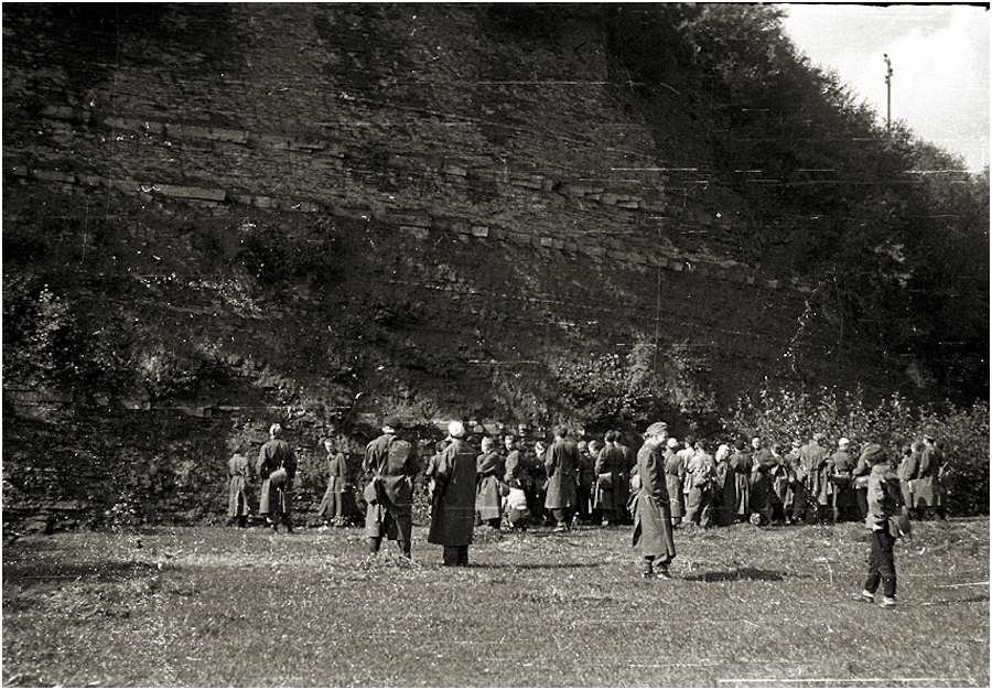 kurs terenowy anno domini 1953