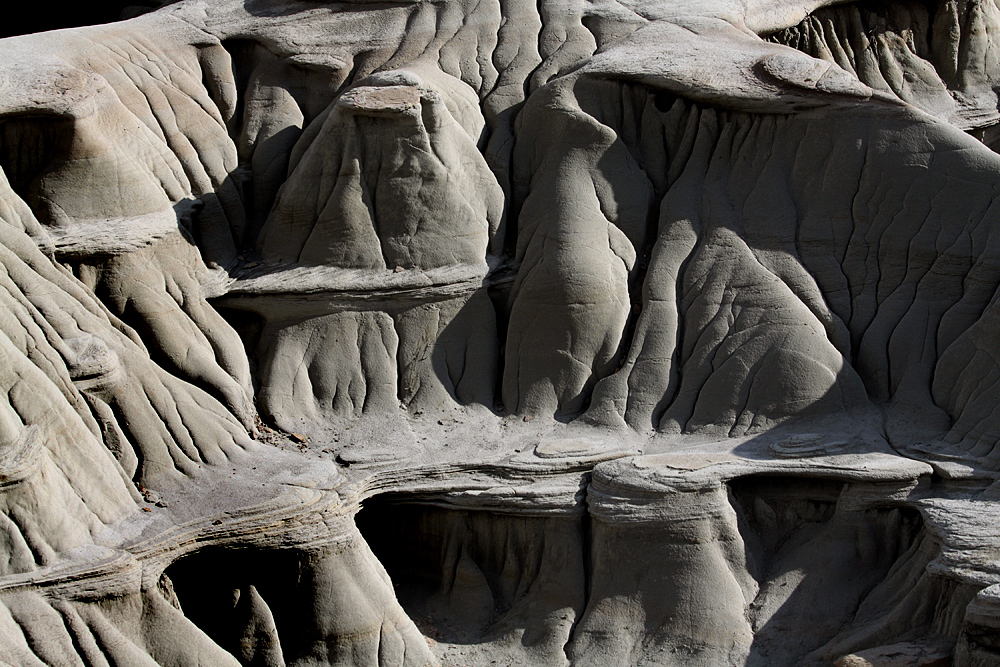 Dinosaur Provincial Park