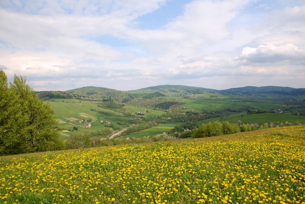 Myscowa (Beskid Niski)