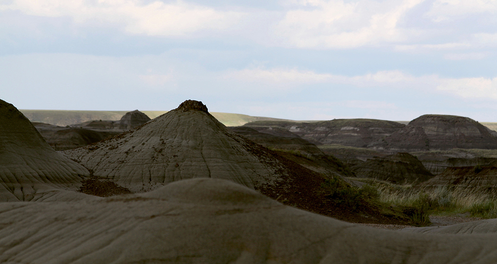 Dinosaur Provincial Park