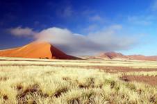 Namib -Pustynia