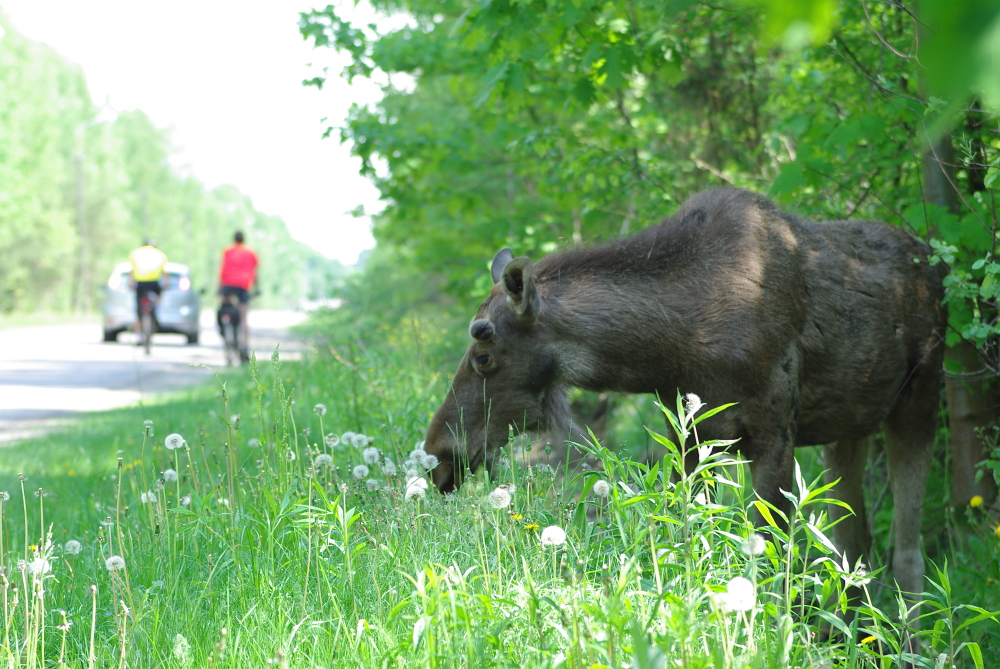 Rózne sposoby na udaną majówkę