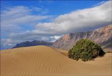 Playa de Famara