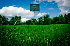 basket golf