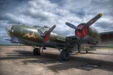 Sally B