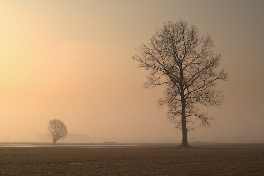 Właściwe klimaty