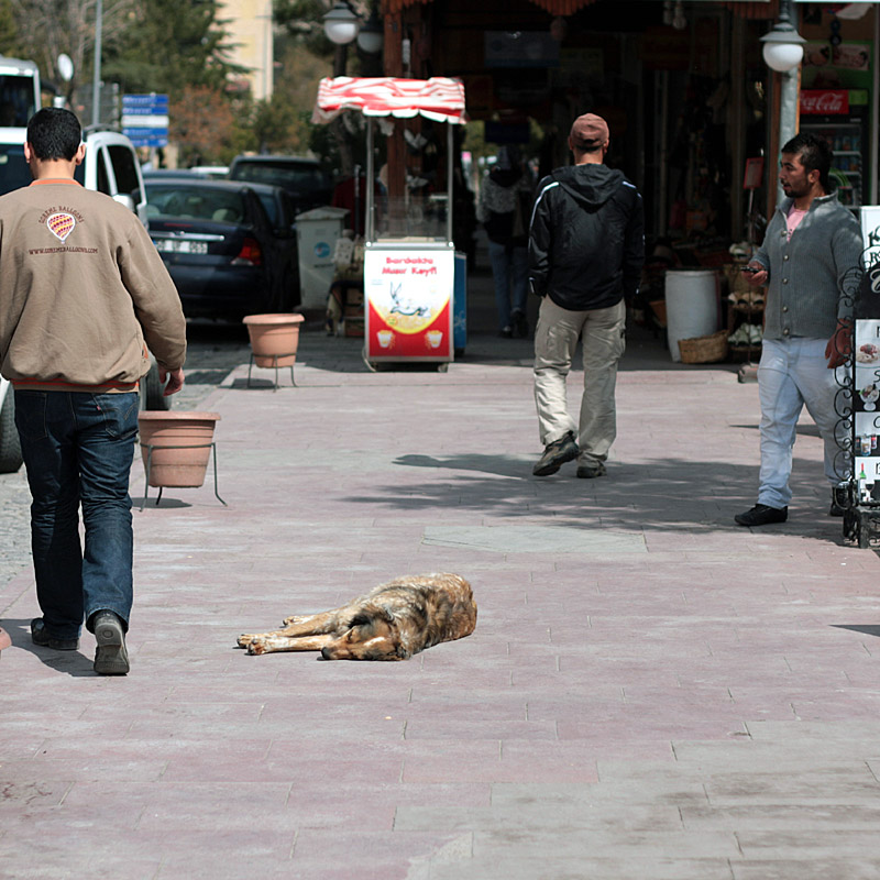 Turkish street