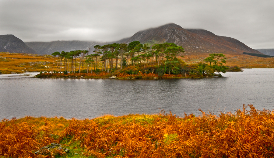 Connemara