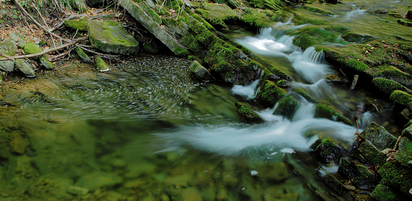 potok kłopotnica,Magurski Park Narodowy