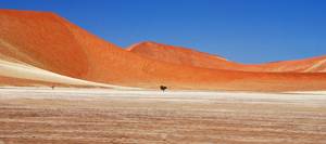 Namib -Pustynia