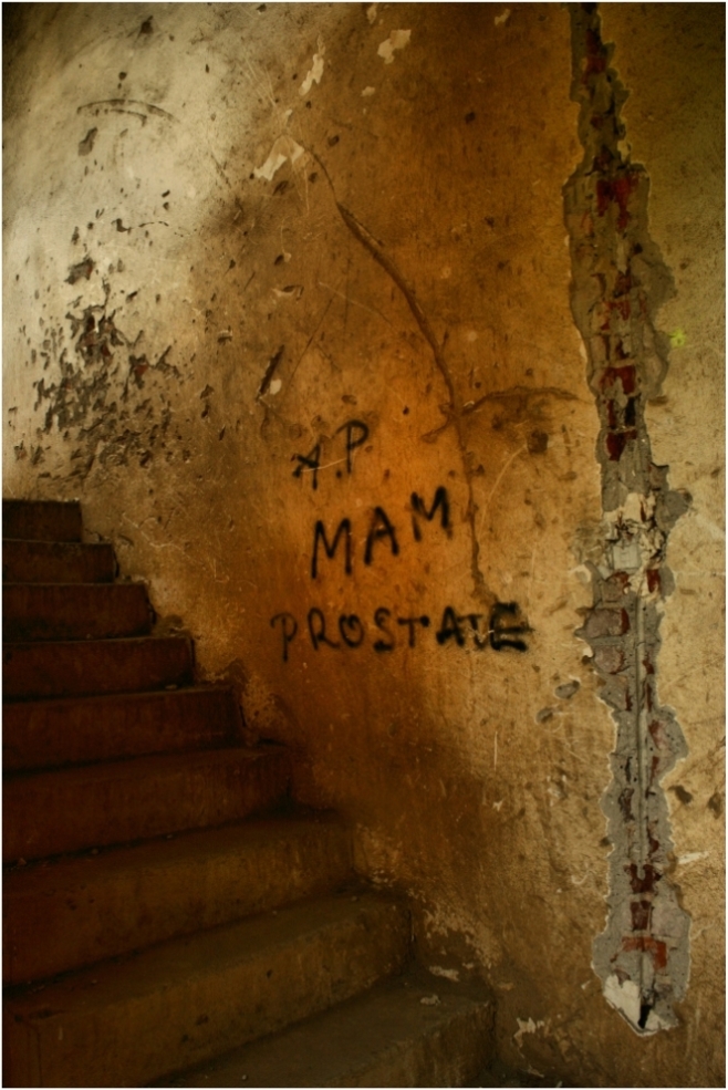 mam prostatę