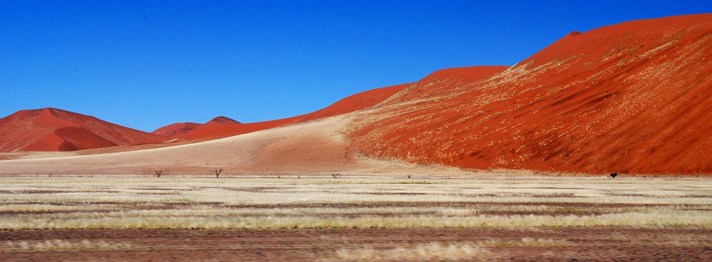 Namib -Pustynia