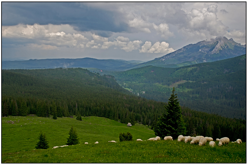 Widok z Gęsiej