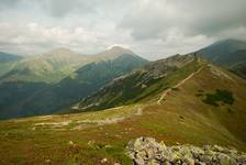 tATRY