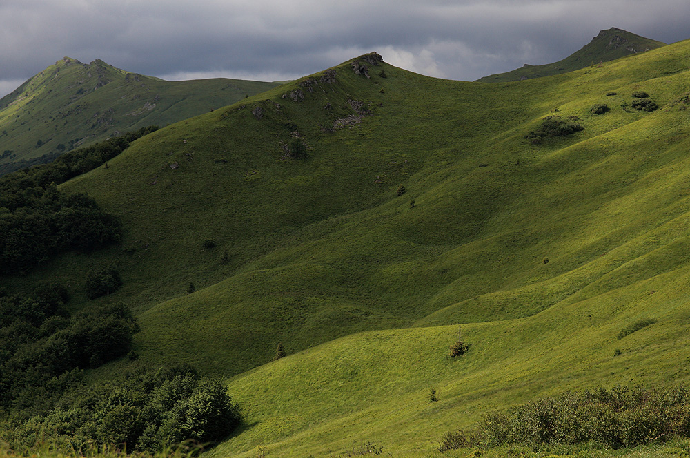 Zielone Bieszczady