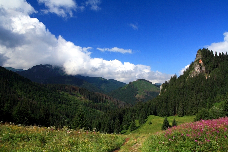 Tatry