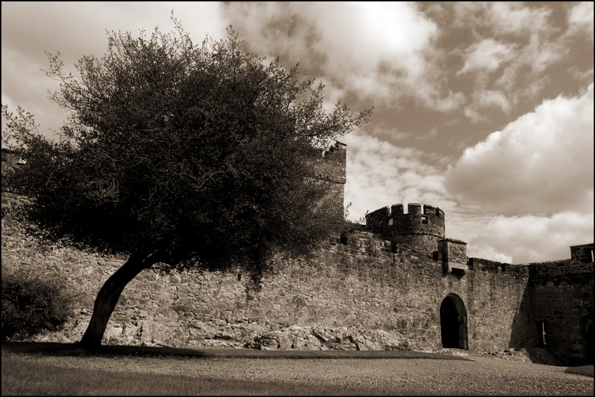 Cahir Castle