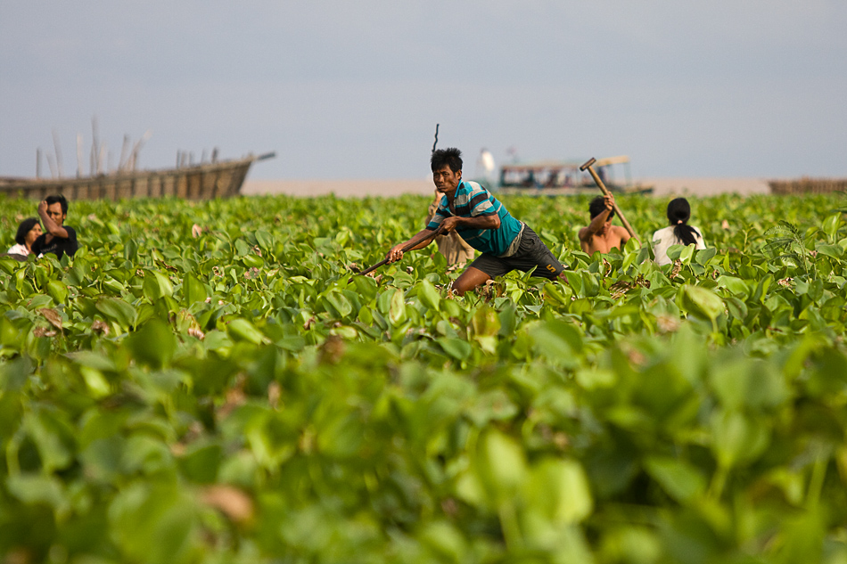 Tonle Sap