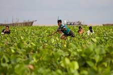 Tonle Sap