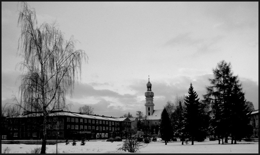 Tychy rynek