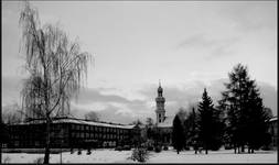 Tychy rynek