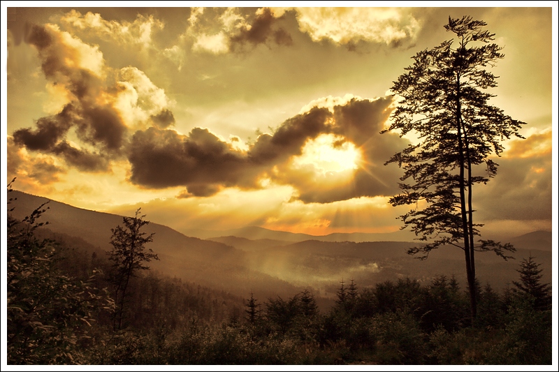 Beskid Wysoki