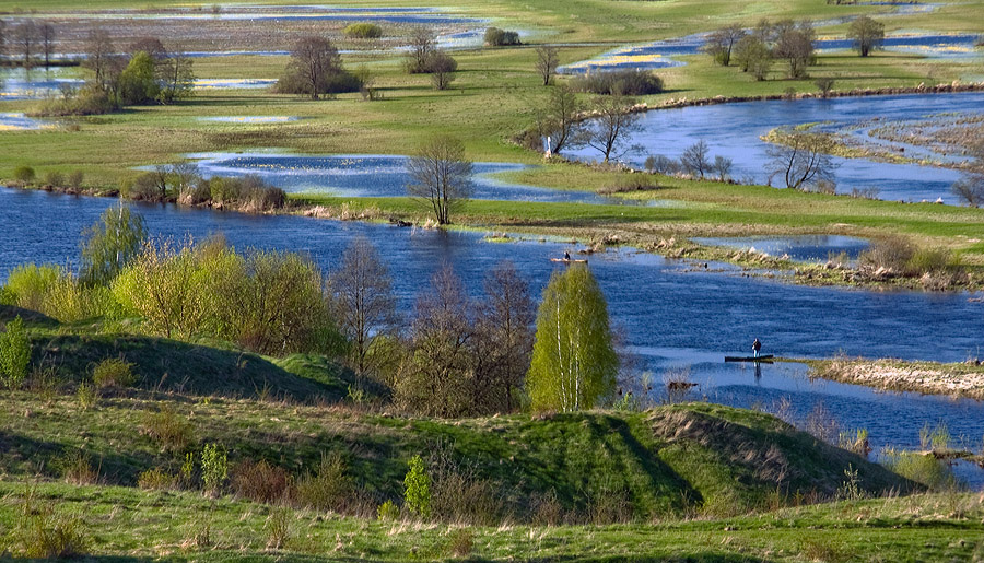 dolina Narwi wiosna 2010